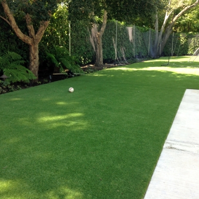 Artificial Turf Cost Center Hill, Florida Grass For Dogs