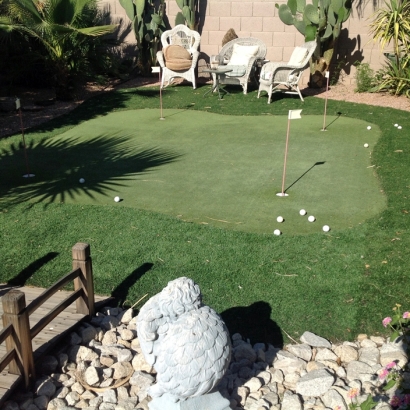 Artificial Turf Cost Edgewater, Florida Design Ideas, Backyard Landscape Ideas