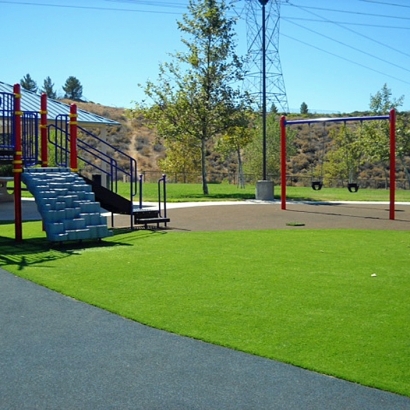 Artificial Turf Cost Orange Park, Florida Landscape Design, Recreational Areas