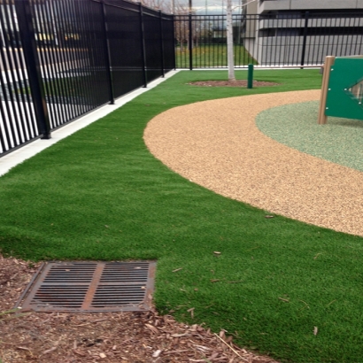 Artificial Turf Cost Taft, Florida Home And Garden, Commercial Landscape