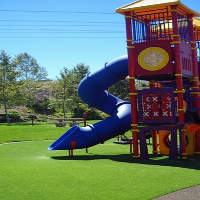 Artificial Turf Gotha, Florida Kids Indoor Playground, Parks