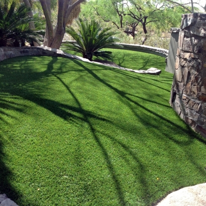 Artificial Turf Greenville, Florida Hotel For Dogs