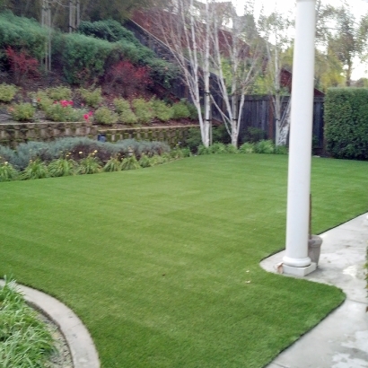 Artificial Turf Installation San Antonio, Florida Grass For Dogs, Backyard Ideas