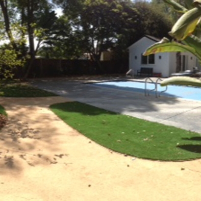 Artificial Turf Wiscon, Florida Landscaping Business, Natural Swimming Pools