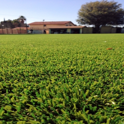 Best Artificial Grass Baldwin, Florida Landscape Ideas