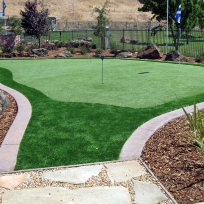 Best Artificial Grass Pomona Park, Florida Putting Green Grass, Backyard