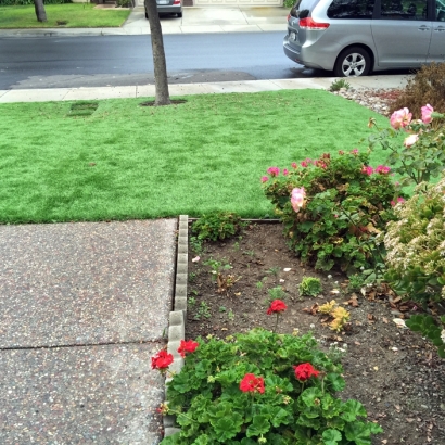 Best Artificial Grass Welaka, Florida Grass For Dogs, Front Yard Ideas