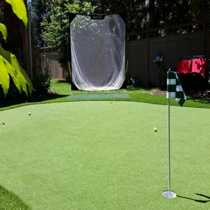 Fake Grass Mascotte, Florida Indoor Putting Green, Backyard Garden Ideas