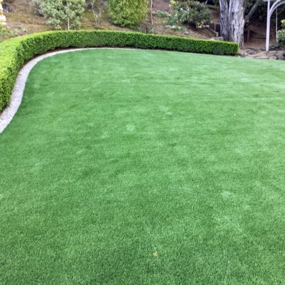 Fake Grass Montverde, Florida Garden Ideas, Backyard Designs