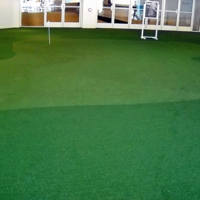 Fake Lawn Christmas, Florida Backyard Putting Green, Commercial Landscape