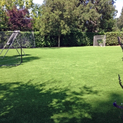 Fake Lawn Eatonville, Florida Backyard Soccer, Backyard