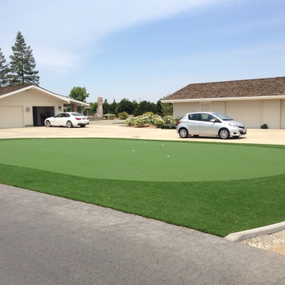 Fake Lawn Ferndale, Florida Home Putting Green, Front Yard Landscaping
