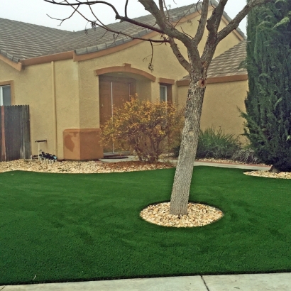 Fake Turf Clarcona, Florida City Landscape, Small Front Yard Landscaping