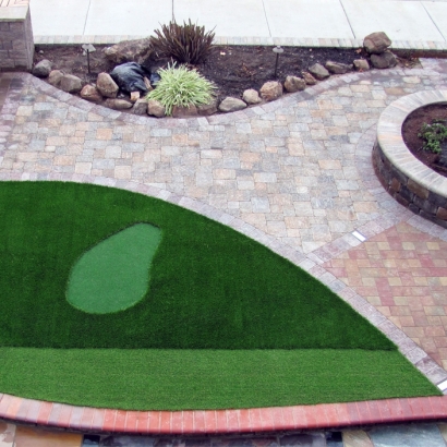 Fake Turf Hunters Creek, Florida Putting Green Turf, Front Yard Design