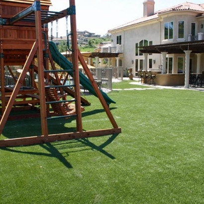 Fake Turf The Villages, Florida Playground, Backyards