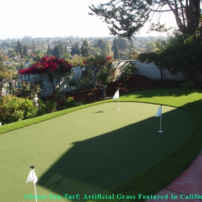 Faux Grass Callahan, Florida Putting Green Carpet, Backyard Landscape Ideas