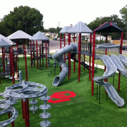 Faux Grass Day, Florida Athletic Playground, Recreational Areas