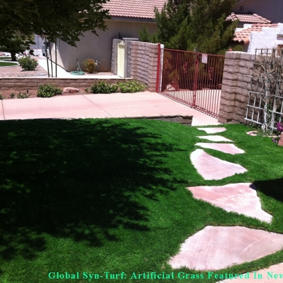 Grass Carpet Green Cove Springs, Florida Lawns, Front Yard Landscaping Ideas