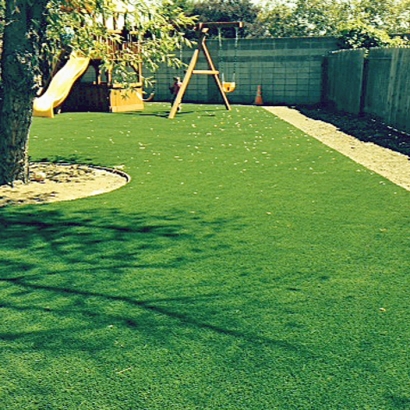 Grass Carpet Hilliard, Florida Lawn And Landscape, Backyard Makeover