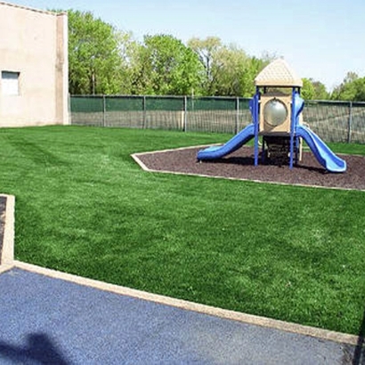 Grass Carpet Port Orange, Florida Playground, Commercial Landscape