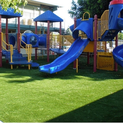 Grass Installation Andrews, Florida Lawn And Landscape, Commercial Landscape