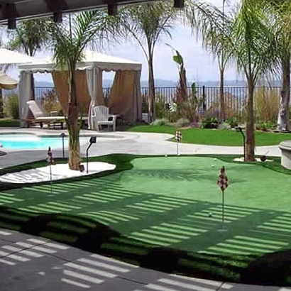 Grass Installation Morriston, Florida Office Putting Green, Backyard Landscape Ideas