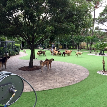 Grass Turf Pine Lakes, Florida Artificial Grass For Dogs, Commercial Landscape