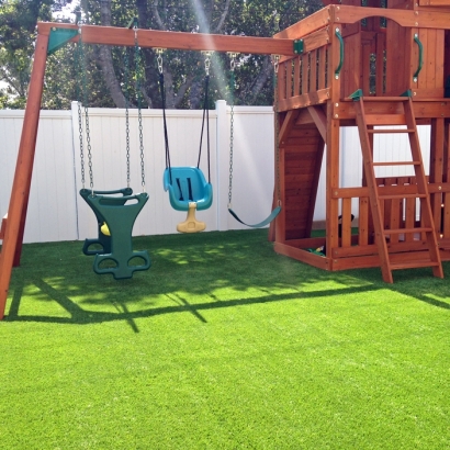 Grass Turf Raiford, Florida Roof Top, Backyards