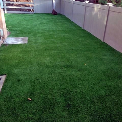 How To Install Artificial Grass Beverly Beach, Florida Backyard Deck Ideas, Backyard Landscape Ideas