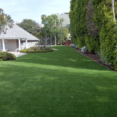 Outdoor Carpet Butler Beach, Florida Watch Dogs, Landscaping Ideas For Front Yard