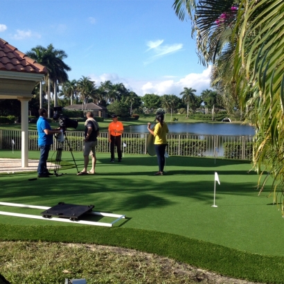 Outdoor Carpet Hampton, Florida Putting Greens, Backyard Landscaping Ideas