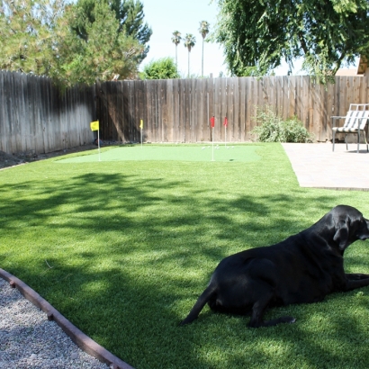 Plastic Grass Ferndale, Florida Dog Run, Backyard Landscaping