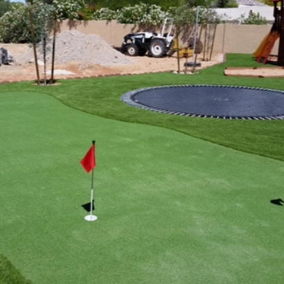 Plastic Grass Monticello, Florida Golf Green, Backyard Garden Ideas