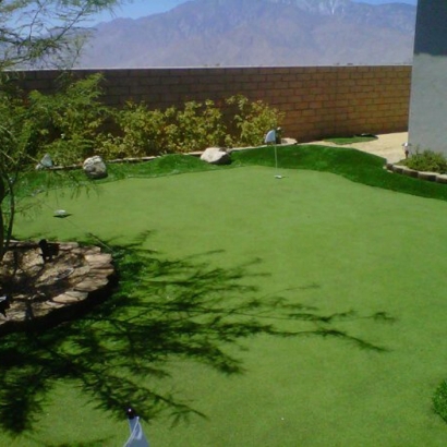 Synthetic Grass Baldwin, Florida Lawn And Garden, Backyard Landscaping Ideas