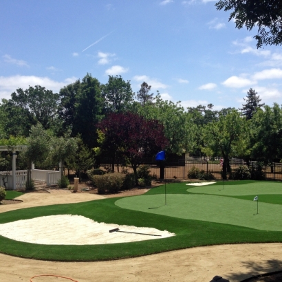 Synthetic Grass Cost Deltona, Florida How To Build A Putting Green, Small Front Yard Landscaping