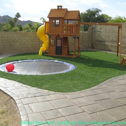 Synthetic Grass Cost Middleburg, Florida Lawns, Backyard Landscaping Ideas