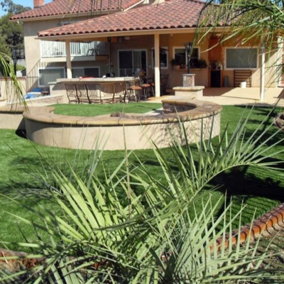 Synthetic Grass Cost Tangerine, Florida Landscaping Business, Backyard Landscaping Ideas