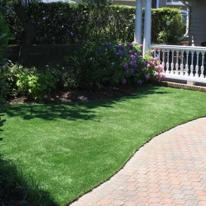 Synthetic Grass Cost Winter Park, Florida Landscaping, Front Yard Design