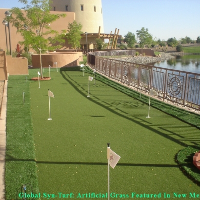 Synthetic Grass Fruit Cove, Florida Indoor Putting Green, Backyards