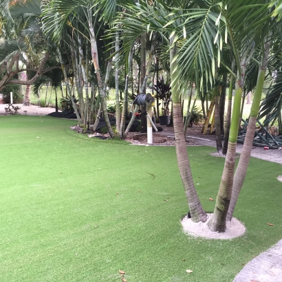 Synthetic Grass Holden Heights, Florida Landscape Rock, Commercial Landscape