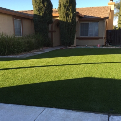 Synthetic Grass Oviedo, Florida Landscape Photos, Landscaping Ideas For Front Yard