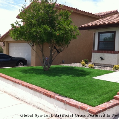 Synthetic Grass Palm Valley, Florida Rooftop, Landscaping Ideas For Front Yard