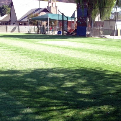 Synthetic Lawn Brooksville, Florida Backyard Sports, Parks