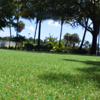 Synthetic Lawn Lake Lindsey, Florida Backyard Playground, Recreational Areas