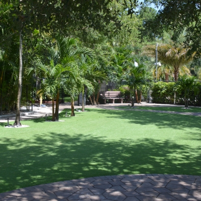 Synthetic Lawn Lake Lindsey, Florida Lawn And Garden, Pavers