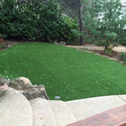 Synthetic Turf Supplier Greenville, Florida Backyard Playground, Small Backyard Ideas