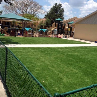 Synthetic Turf Supplier Lake City, Florida Gardeners, Commercial Landscape