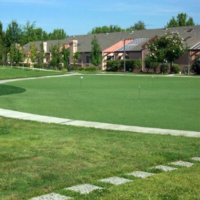 Synthetic Turf Supplier Raleigh, Florida Indoor Putting Greens, Commercial Landscape
