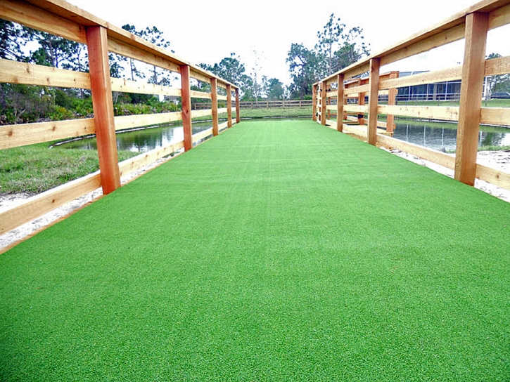 Artificial Grass Carpet Ferndale, Florida Landscape Ideas, Commercial Landscape