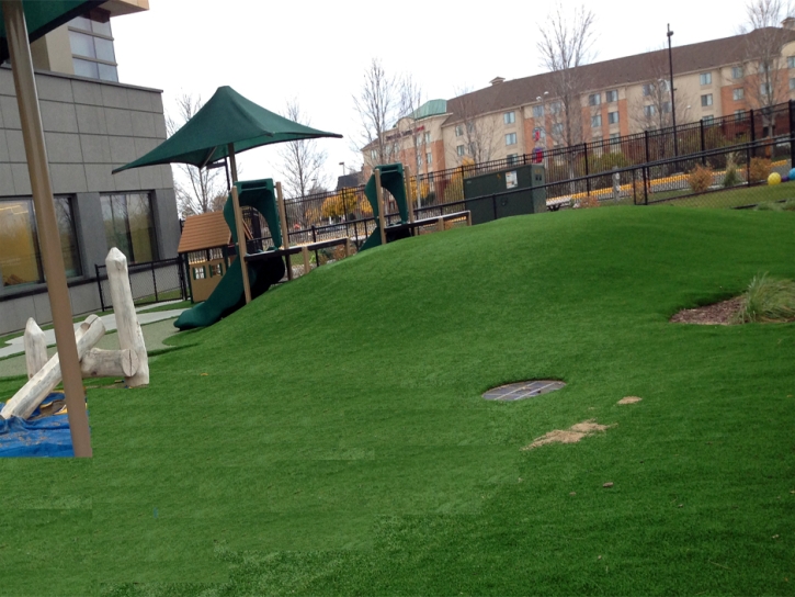 Artificial Grass Carpet South Brooksville, Florida Playground Safety, Commercial Landscape